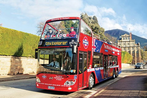 Hobart Hop-On Hop-Off Bus & Kunanyi/Mt Wellington Tour - Sunshine Coast Tourism 4