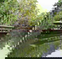 Hartley's Crocodile Adventures Breakfast with the Koalas - Holiday Sunshine Coast