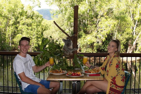 Hartley's Crocodile Adventures Breakfast With The Koalas - Holiday Sunshine Coast 5