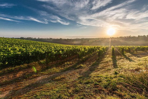 Perth To Margaret River Wine Tour - 2 Day Premium Boutique Wine Tour Experience - Sunshine Coast Tourism 0