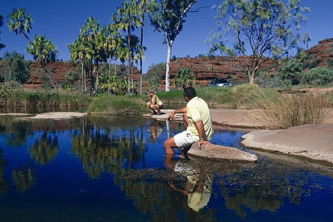 Palm Valley 4WD Day Tour - Sunshine Coast Tourism 1