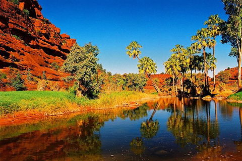 Palm Valley 4WD Day Tour - Sunshine Coast Tourism 2