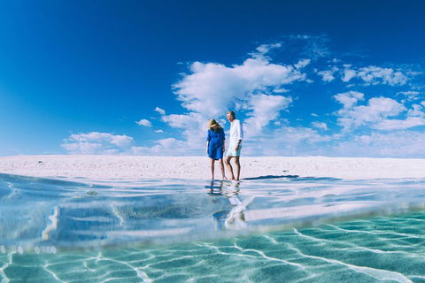 4-Day Coastal Loop Via Monkey Mia Wild Dolphins Kalbarri Pinnacles Perth Return - Sunshine Coast Tourism 0