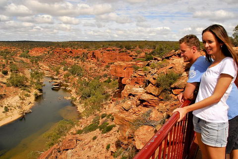 4-Day Coastal Loop Via Monkey Mia Wild Dolphins Kalbarri Pinnacles Perth Return - Sunshine Coast Tourism 3