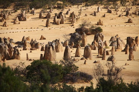 Pinnacles Sunset Dinner And Stargazing Experience A Small Group Tour - Sunshine Coast Tourism 0