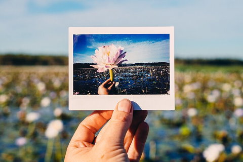 Kakadu Wilderness Escape - Top End Day Tour From Darwin - Holiday Sunshine Coast 3