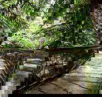 12 Apostles Eco-Friendly Great Ocean Road Iconic Adventure from Melbourne - Sunshine Coast Tourism