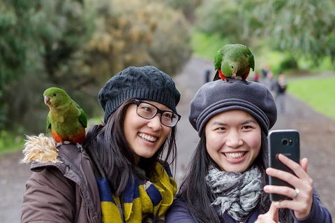 Small-Group Great Ocean Road And 12 Apostles Full-Day Tour From Melbourne - Sunshine Coast Tourism 0