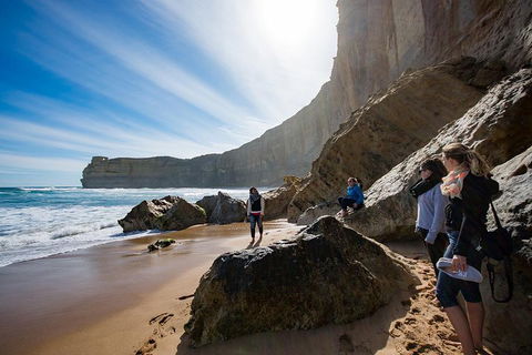 Small-Group Great Ocean Road And 12 Apostles Full-Day Tour From Melbourne - Sunshine Coast Tourism 1