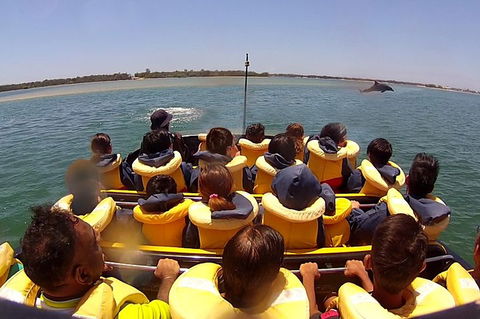Jet Boat Express Ride - 30mins - Holiday Sunshine Coast 5