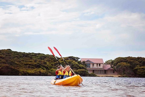 Kangaroo Island Self-Guided Kayaking On The Harriet River - Holiday Sunshine Coast 5