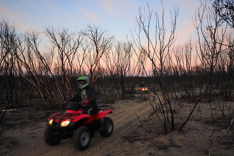 Kangaroo Island Quad Bike (ATV) Tours - Sunshine Coast Tourism 1