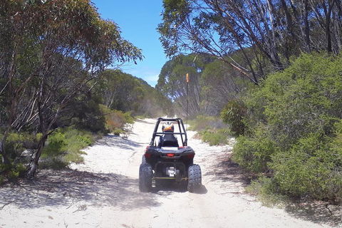 Kangaroo Island Quad Bike (ATV) Tours - Sunshine Coast Tourism 4
