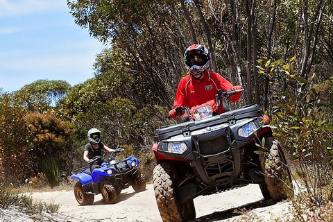 Kangaroo Island Quad Bike (ATV) Tours - Sunshine Coast Tourism 5