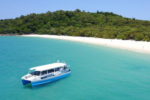 Whitsunday Bullet Day Trip - Whitehaven Beach And Snorkelling - Holiday Sunshine Coast 0