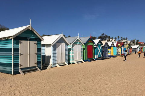 Phillip Island Penguin Parade, Brighton Bathing Boxes And Wildlife Park Tour - Sunshine Coast Tourism 3