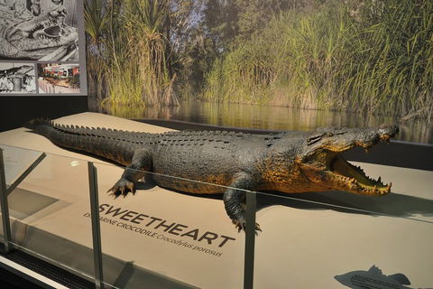 Explore Darwin City Sights Including Key Attractions - Holiday Sunshine Coast 2