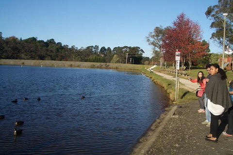 PRIVATE All-Day Blue Mountains Tour With Professional Guide For Up To 4 People - Sunshine Coast Tourism 2