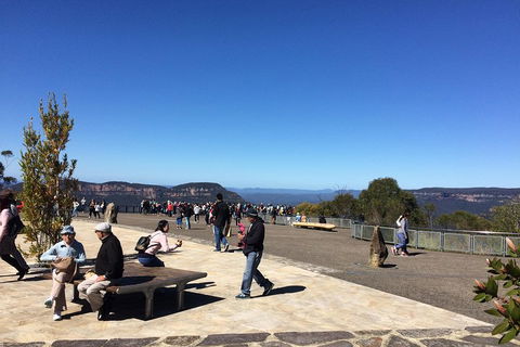 PRIVATE All-Day Blue Mountains Tour With Professional Guide For Up To 4 People - Sunshine Coast Tourism 5