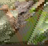 Blue Mountains Private Full-Day Tour from Sydney with Cruise - Sunshine Coast Tourism