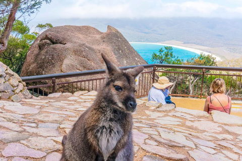 Wineglass Bay & Freycinet NP Full Day Tour From Hobart Via Richmond Village - Sunshine Coast Tourism 0