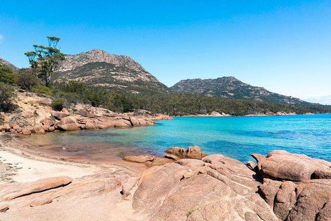 Wineglass Bay & Freycinet NP Full Day Tour From Hobart Via Richmond Village - Sunshine Coast Tourism 5
