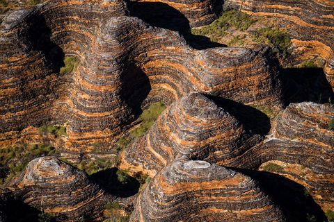 Bungle Bungle Scenic Flights, Domes & Cathedral Gorge Walk - Sunshine Coast Tourism 4