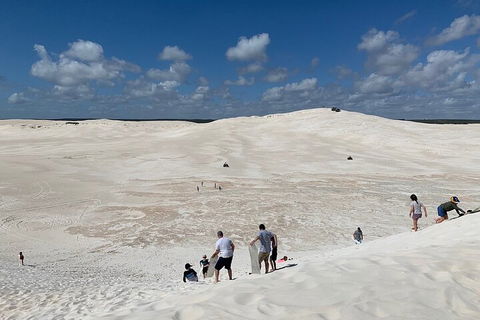 Pinnacles Day Trip From Perth Including Yanchep National Park - Sunshine Coast Tourism 2