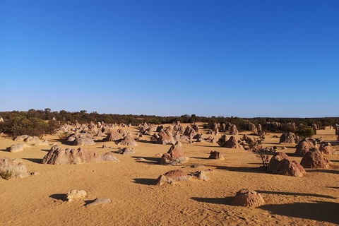 Pinnacles Day Trip From Perth Including Yanchep National Park - Sunshine Coast Tourism 3
