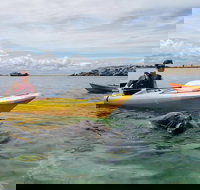 Seal Island and Penguin Island or Point Peron Sea Kayak Tour - Sunshine Coast Tourism