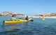 Seal Island And Penguin Island Or Point Peron Sea Kayak Tour - thumb 3