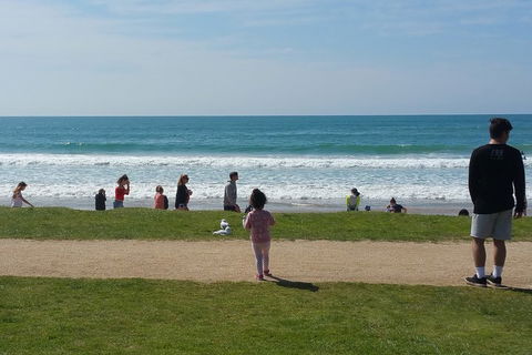 Surf Tour And Lesson - Sunshine Coast Tourism 0