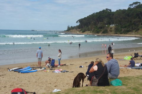 Surf Tour And Lesson - Sunshine Coast Tourism 5