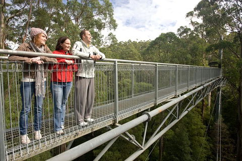 Adventure Sunset Three Day Great Ocean Road Tour - Holiday Sunshine Coast 0