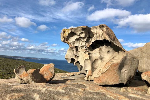 Kangaroo Island 4WD Tour - Best Of KI In 2 Days - Sunshine Coast Tourism 5