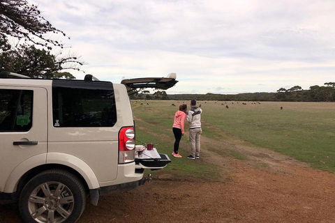 Kangaroo Island 4WD Tour - Flinders Chase - Sunshine Coast Tourism 3