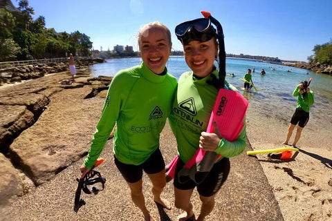 Manly Snorkel Trip And Nature Walk With Local Guide - Holiday Sunshine Coast 1