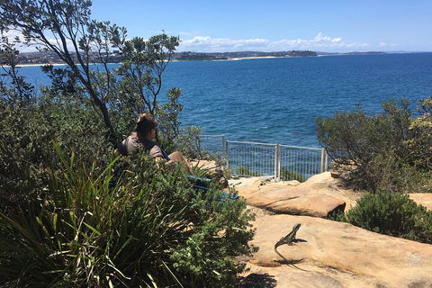 Manly Snorkel Trip And Nature Walk With Local Guide - Holiday Sunshine Coast 4