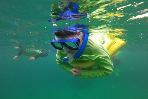 Manly Snorkel Trip And Nature Walk With Local Guide - Holiday Sunshine Coast 5