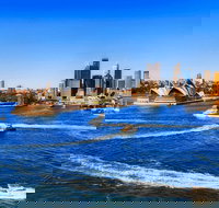 Jazz Lunch Cruise on Sydney Harbour - Sunshine Coast Tourism