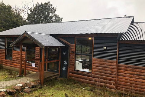 After Dark Tasmanian Devil Feeding Tour At Cradle Mountain - Sunshine Coast Tourism 3