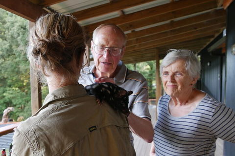 Sunset Experience - Sunshine Coast Tourism 1