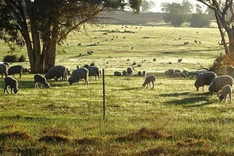 The Big Wave Rock (Private) Day Tour - Holiday Sunshine Coast 1