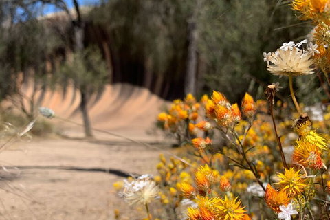 The Big Wave Rock (Private) Day Tour - Holiday Sunshine Coast 3