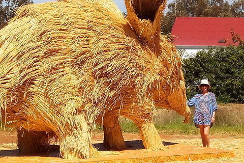 The Big Wave Rock (Private) Day Tour - Holiday Sunshine Coast 5