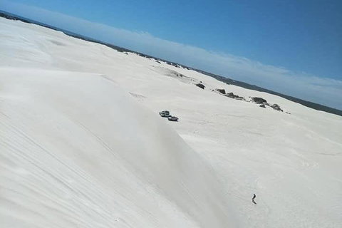 Yanchep & Lancelin - Wildlife, Cave And Sands - Holiday Sunshine Coast 3