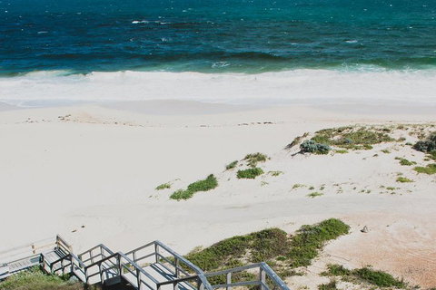 Yanchep & Lancelin - Wildlife, Cave And Sands - Holiday Sunshine Coast 5