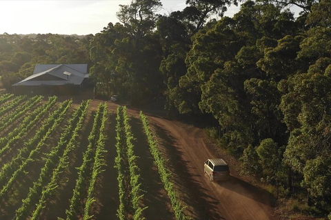 The All About Margaret River Tour: Wine, Coffee, Lunch And Forest - Sunshine Coast Tourism 1
