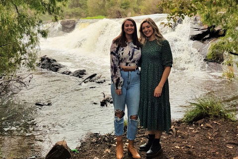The All About Margaret River Tour: Wine, Coffee, Lunch And Forest - Sunshine Coast Tourism 2