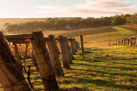 The All About Margaret River Tour: Wine, Coffee, Lunch And Forest - Sunshine Coast Tourism 5